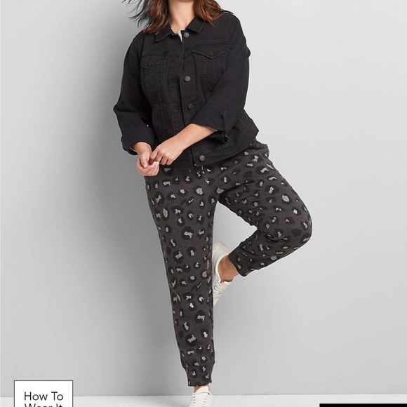 lane bryant sweatpants